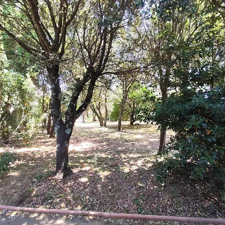 Tatil Evi Mazet Avec Piscine Proche Centre-ville D'uzes
